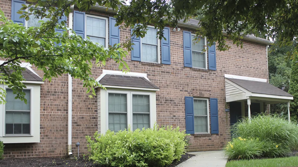 Viwinco Edgemont Replacement Windows